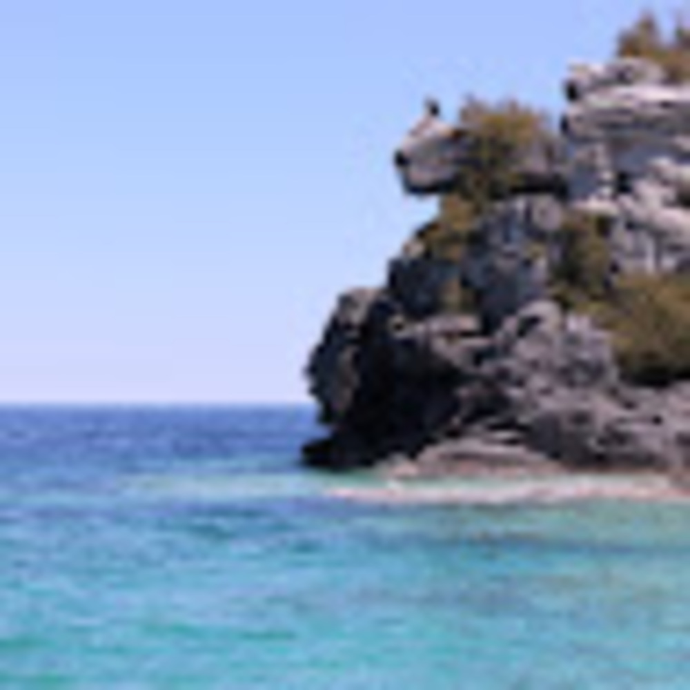 Meet your Posher, Florabelle